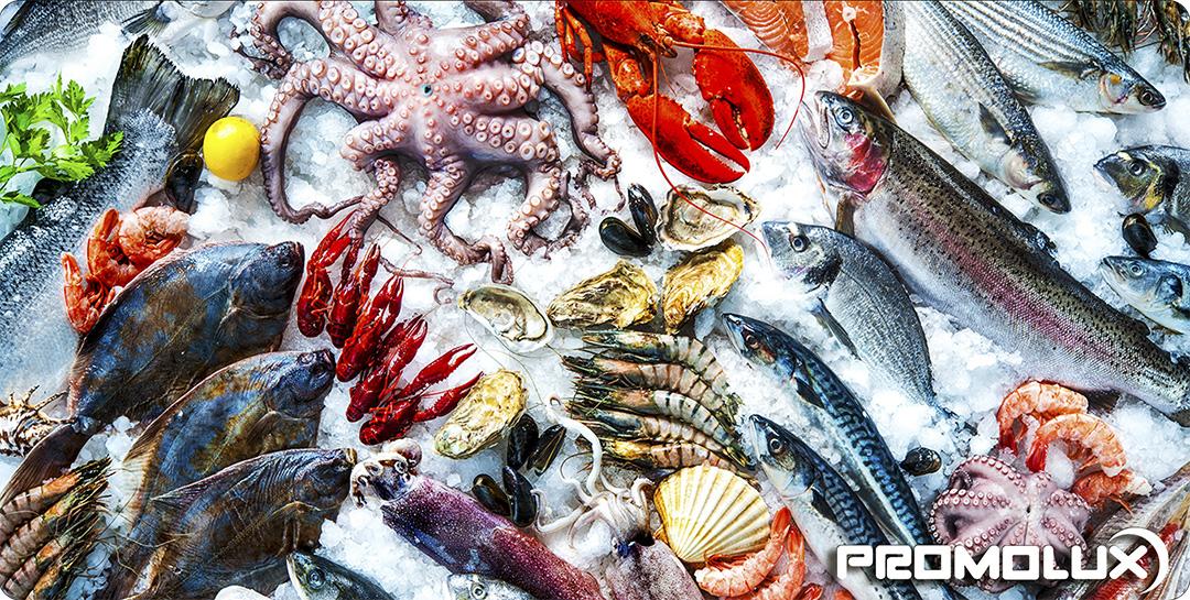 Addressing the Unique Challenges of Seafood Display Lighting