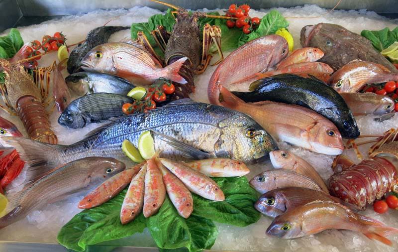 Importance of Seafood Lighting Importance of Seafood Lighting