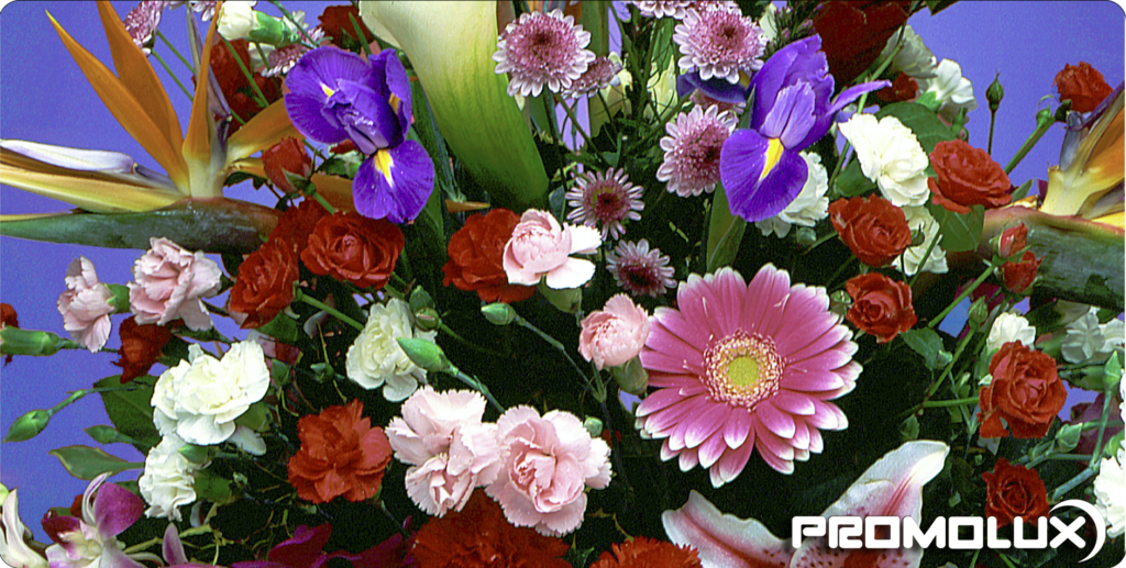 Specialty lighting for florists