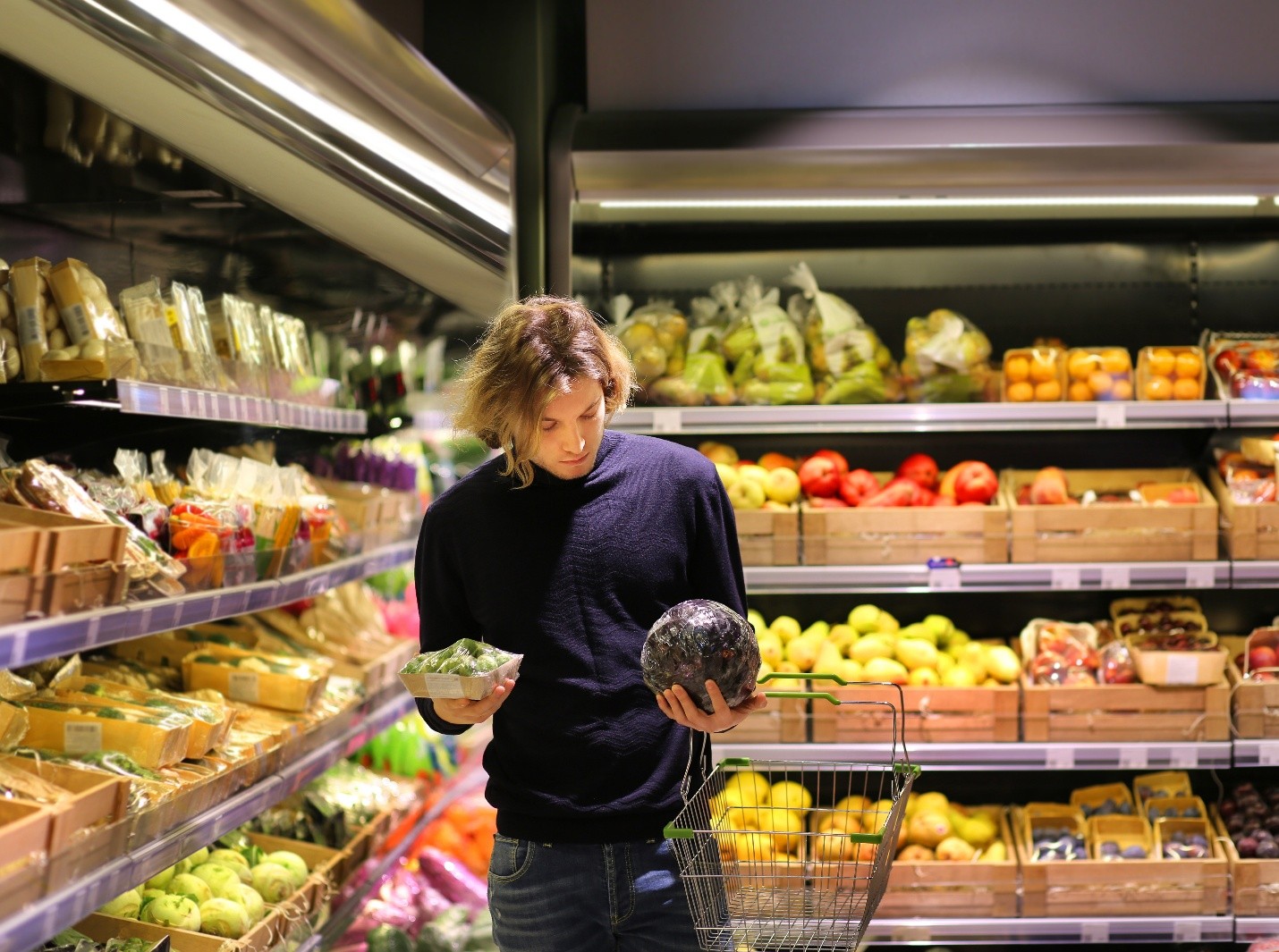LED Lights for Supermarkets LED Lights for Supermarkets