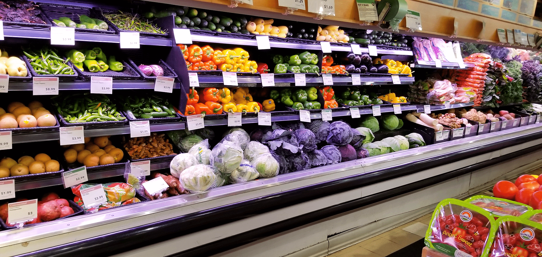 Preserving Freshness, Minimizing Spoilage Preserving Freshness, Minimizing Spoilage