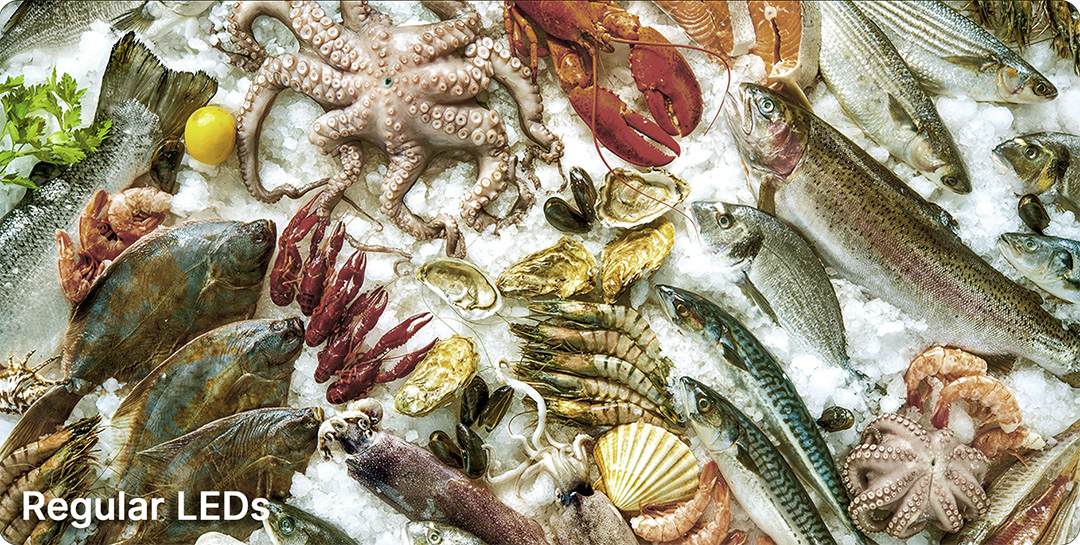 Specialty Lighting Solutions for Seafood Displays