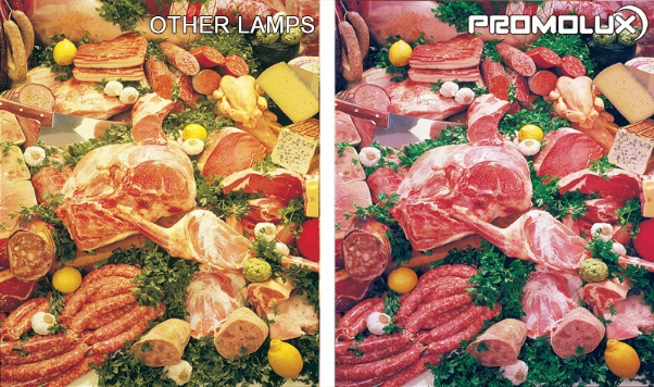Why Promolux is the Preferred Choice Over Regular LEDs Why Promolux is the Preferred Choice Over Regular LEDs