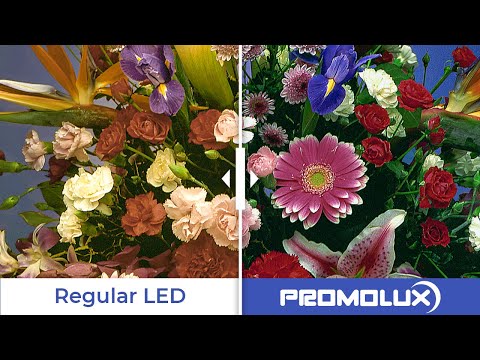 non-food departments like florals and jewellery